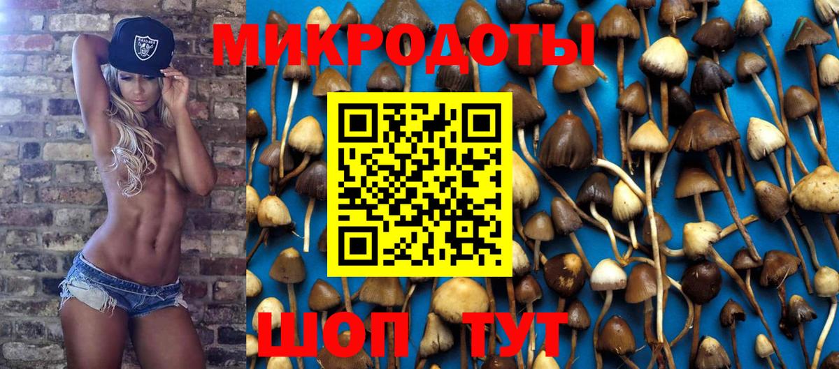 Галлюциногенные грибы ЛСД  Вход с VPN  Галлюциногенные грибы Psilocybine cubensis  Кингисепп 