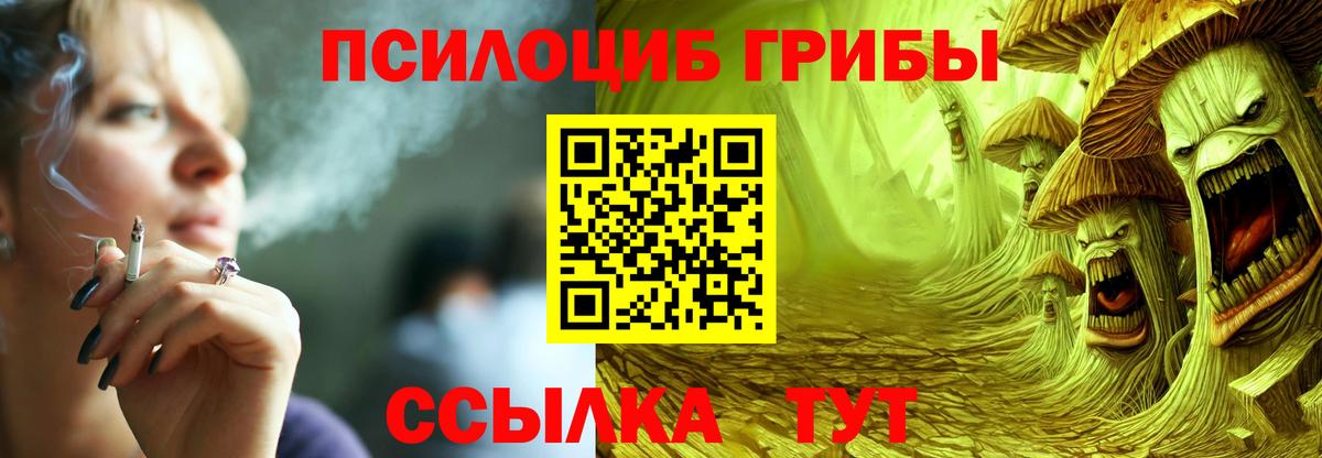 Псилоцибиновые грибы прущие грибы Кингисепп